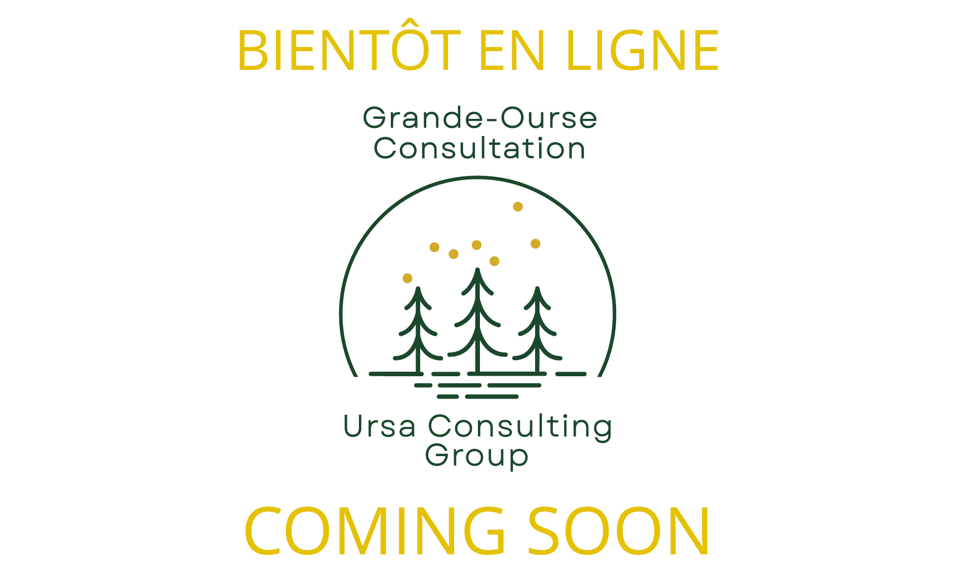 Ursa Group Consulting